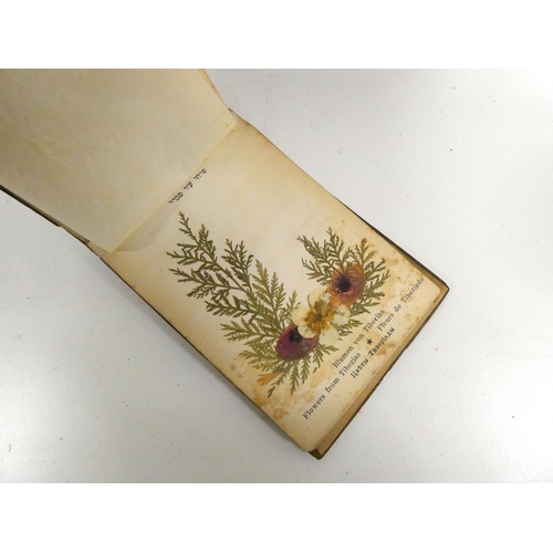 52 - Antique Middle Eastern box, also Jerusalem olive wood album of pressed leaves.