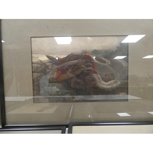 42 - DETMOLD C. M.&nbsp;&nbsp;5 colour prints for The Jungle Book, each 24cm x 33cm, framed.... 
