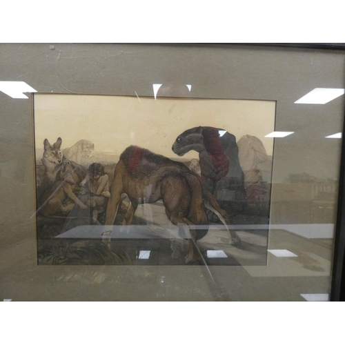42 - DETMOLD C. M.&nbsp;&nbsp;5 colour prints for The Jungle Book, each 24cm x 33cm, framed.... 