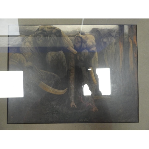 42 - DETMOLD C. M.&nbsp;&nbsp;5 colour prints for The Jungle Book, each 24cm x 33cm, framed.... 