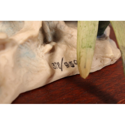 297 - Border Fine Arts Rising Mallard by Frank Falco, signed F.DiVita limited edition 378/950 on wooden ba... 