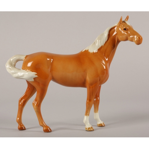 Lot 11        