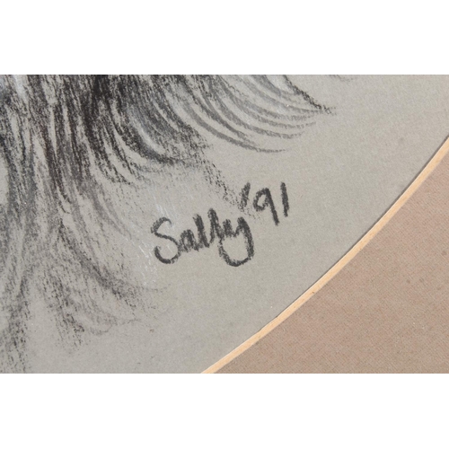19 - SALLY&nbsp;Portrait of three dogs&nbsp;Pastel painting, signed and dated '91 lower right, 42cm diame... 