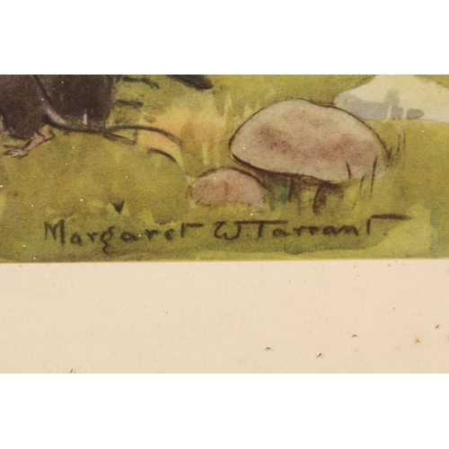 21 - MARGARET W TARRANT&nbsp;Wandering Minstrels and Lesson Time&nbsp;Two prints, 44cmx&nbsp; 53cm, frame... 
