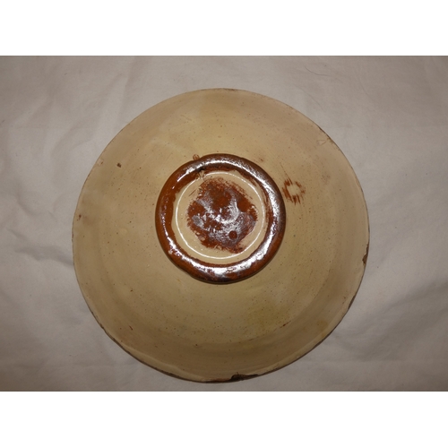 103 - Spanish majolica shallow dish by Puigdemont decorated with a profile of a carp to the well.