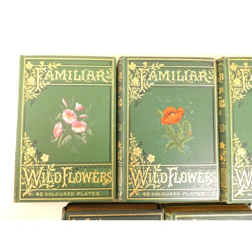 58 - <strong>HULME F. E.&nbsp;&nbsp;</strong>Familiar Wild Flowers. 5 vols. Very many col. plates & t...