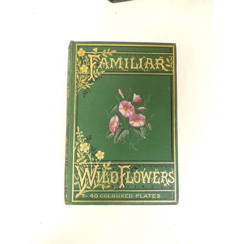 58 - <strong>HULME F. E.&nbsp;&nbsp;</strong>Familiar Wild Flowers. 5 vols. Very many col. plates & t...