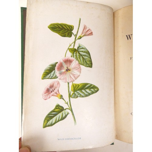 58 - <strong>HULME F. E.&nbsp;&nbsp;</strong>Familiar Wild Flowers. 5 vols. Very many col. plates & t...