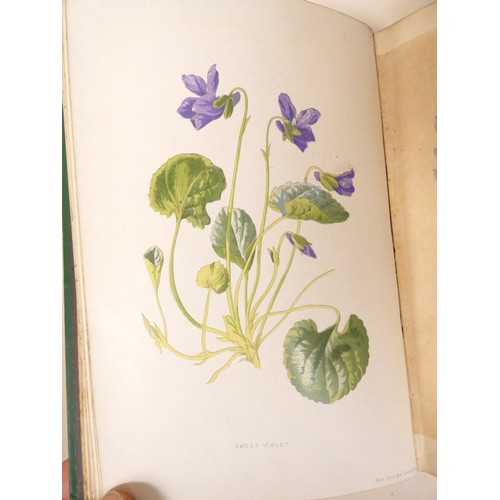 58 - <strong>HULME F. E.&nbsp;&nbsp;</strong>Familiar Wild Flowers. 5 vols. Very many col. plates & t...