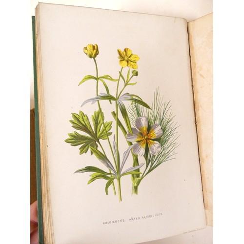 58 - <strong>HULME F. E.&nbsp;&nbsp;</strong>Familiar Wild Flowers. 5 vols. Very many col. plates & t...
