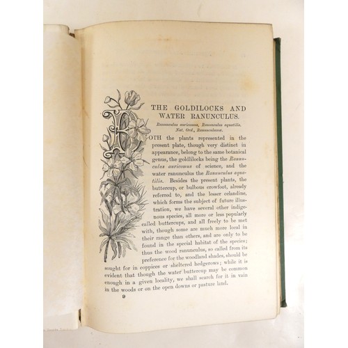 58 - <strong>HULME F. E.&nbsp;&nbsp;</strong>Familiar Wild Flowers. 5 vols. Very many col. plates & t...