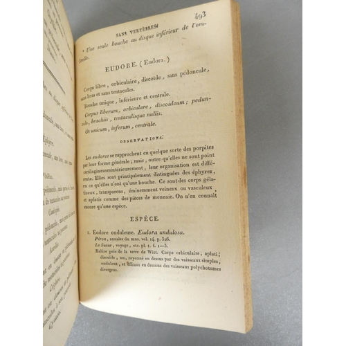 40 - <strong>DE LAMARCK J.B.P.A.&nbsp;&nbsp;</strong>Histoire Naturelle des Animeaux Sans Vertebres. 7 vo...