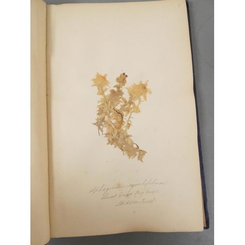 54 - <strong>FLINTOFT J. J.  </strong>British Mosses in the English Lake District. 50 leaves of original ...