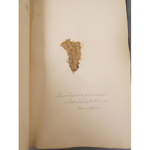 54 - <strong>FLINTOFT J. J.  </strong>British Mosses in the English Lake District. 50 leaves of original ...