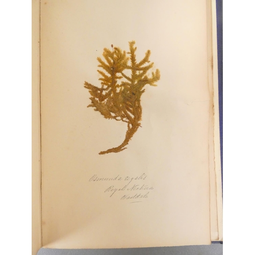 54 - <strong>FLINTOFT J. J.  </strong>British Mosses in the English Lake District. 50 leaves of original ...