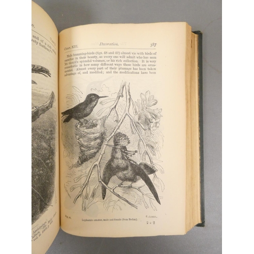 55 - <strong>DARWIN CHARLES. </strong>The Origin of Species by Means of Natural Selection. Half title. Fl...