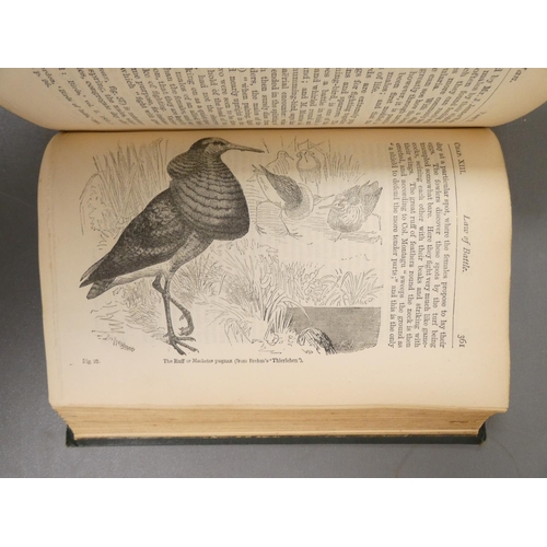 55 - <strong>DARWIN CHARLES. </strong>The Origin of Species by Means of Natural Selection. Half title. Fl...