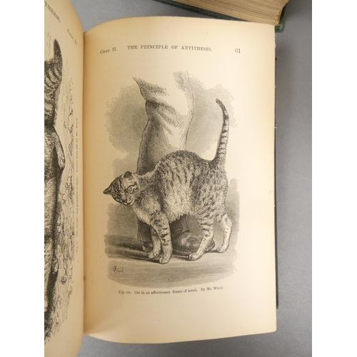 56 - <strong>DARWIN CHARLES.  </strong>The Descent of Man. Half title. Eng. illus. Orig. green cloth. 2nd...