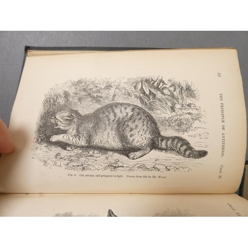 56 - <strong>DARWIN CHARLES.  </strong>The Descent of Man. Half title. Eng. illus. Orig. green cloth. 2nd...