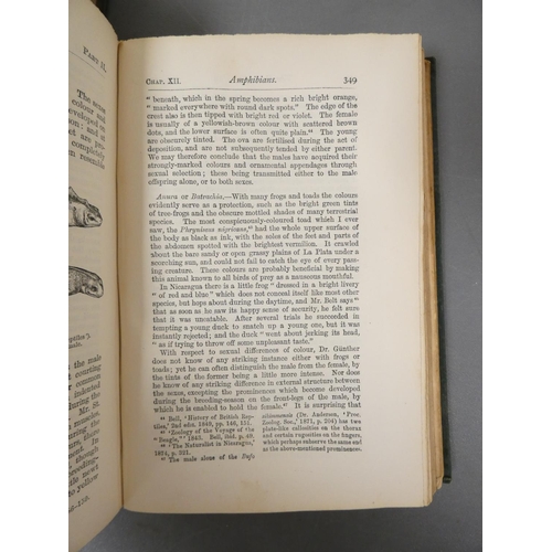 56 - <strong>DARWIN CHARLES.  </strong>The Descent of Man. Half title. Eng. illus. Orig. green cloth. 2nd...