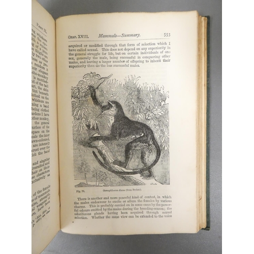 56 - <strong>DARWIN CHARLES.  </strong>The Descent of Man. Half title. Eng. illus. Orig. green cloth. 2nd...