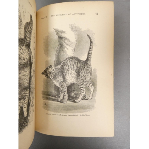 56 - <strong>DARWIN CHARLES.  </strong>The Descent of Man. Half title. Eng. illus. Orig. green cloth. 2nd...