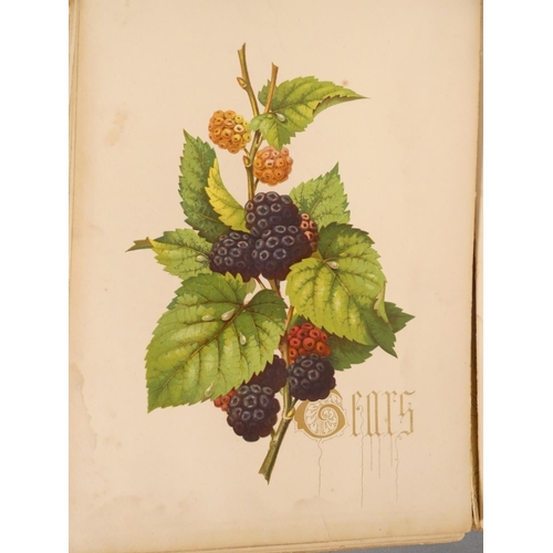 61 - DULAC E.  Stories from Hans Andersen. 28 tipped in col. plates. Quarto. Well worn orig. cloth, tendi... 