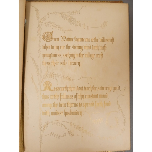 61 - DULAC E.  Stories from Hans Andersen. 28 tipped in col. plates. Quarto. Well worn orig. cloth, tendi... 