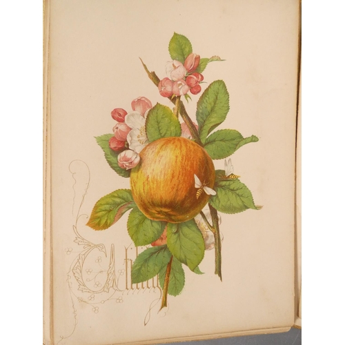 61 - DULAC E.  Stories from Hans Andersen. 28 tipped in col. plates. Quarto. Well worn orig. cloth, tendi... 