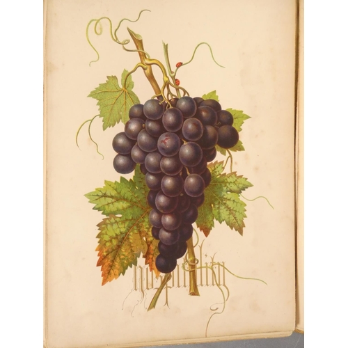 61 - DULAC E.  Stories from Hans Andersen. 28 tipped in col. plates. Quarto. Well worn orig. cloth, tendi... 