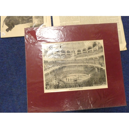 5 - <strong>Ephemera - Circus Prints.&nbsp;&nbsp;</strong>Collectors accumulation of old prints & cu...