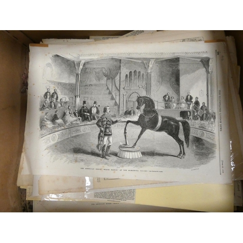 5 - <strong>Ephemera - Circus Prints.&nbsp;&nbsp;</strong>Collectors accumulation of old prints & cu...