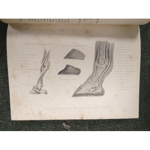 95 - Calf Bound & others.&nbsp;&nbsp;A carton of various vols.