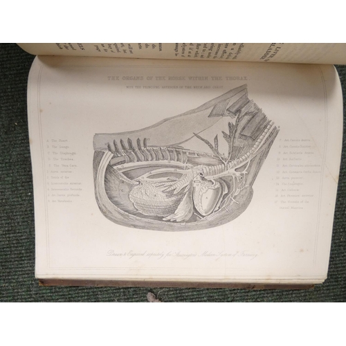 95 - Calf Bound & others.&nbsp;&nbsp;A carton of various vols.