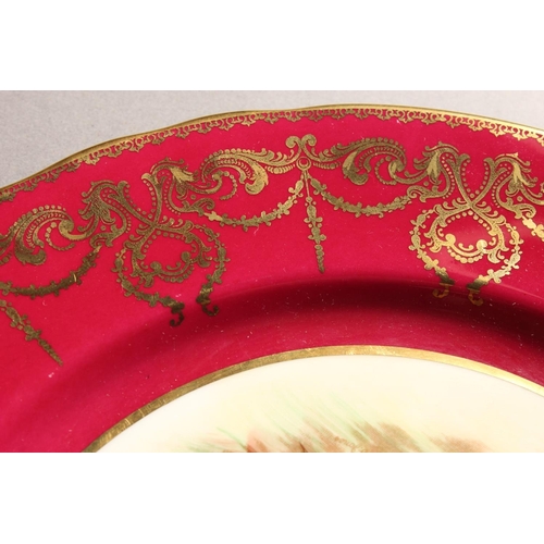 285 - Aynsley Fallen Fruits by D Jones cabinet plate, 26cm diameter.