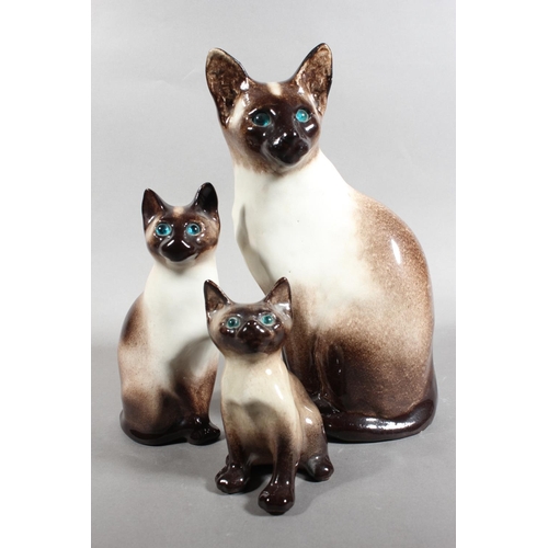 14 - Three Winstanley pottery Siamese cats with blue eyes, largest 31cm high.