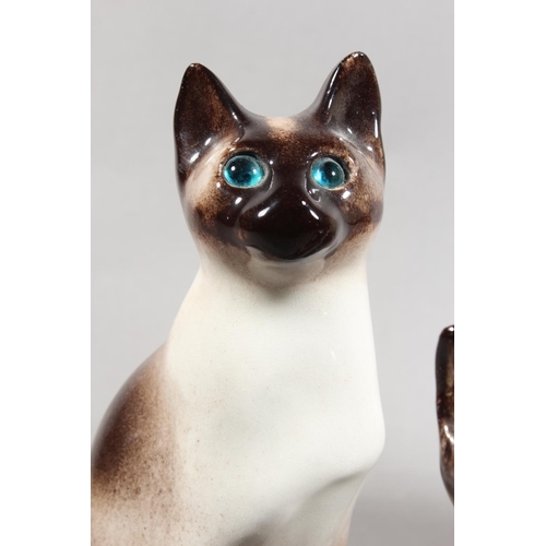 14 - Three Winstanley pottery Siamese cats with blue eyes, largest 31cm high.