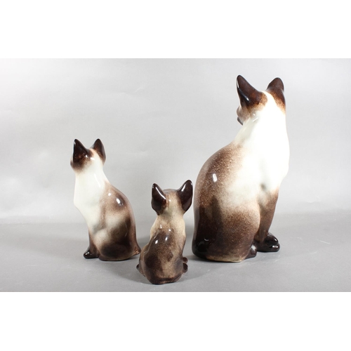 14 - Three Winstanley pottery Siamese cats with blue eyes, largest 31cm high.
