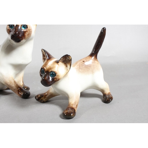 15 - Four Winstanley pottery Siamese cats with blue eyes, largest 26cm high.