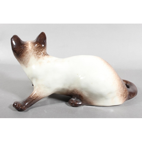 16 - Winstanley Siamese cat with blue eyes, 30cm long.