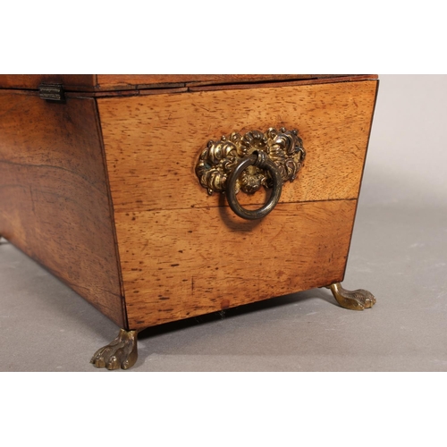 28 - Victorian tea caddy, raised on brass paw supports.