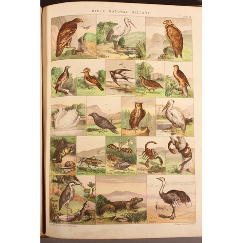 33 - Antique leather brass bound Bible.