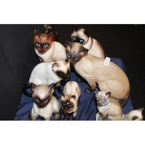 51 - Cat model groups.&nbsp; (20)