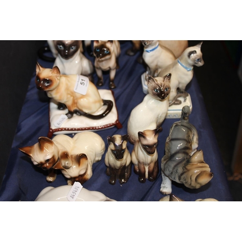 51 - Cat model groups.&nbsp; (20)