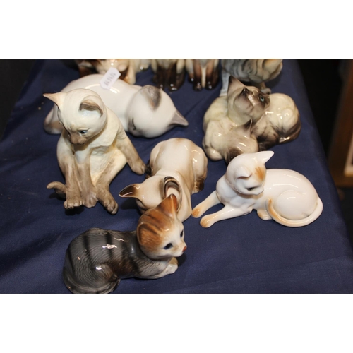 51 - Cat model groups.&nbsp; (20)