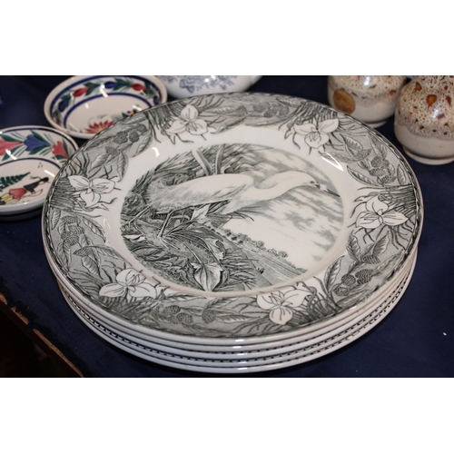 62 - Adams Audobon's Birds of America and Engravings for the People plates, a Keeling & Co. Late Maye... 