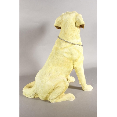 75 - Border Fine Arts yellow labrador model.