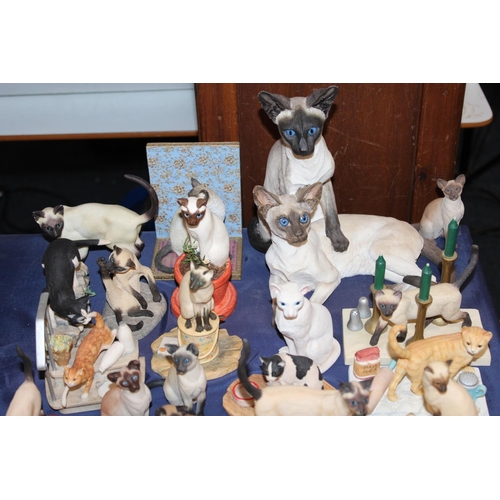 78 - Siamese cat models.
