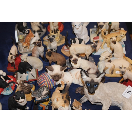 78 - Siamese cat models.