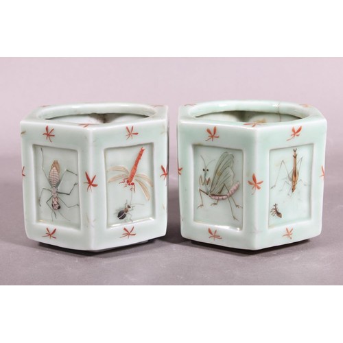 70 - Pair of oriental celadon insect decorated pots.